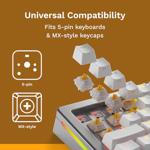 Image of Glorious Gaming - Panda Silent Switches (36 PCS) Lubed Tactile Switches for Gaming and Typing, for MX Hotswappable Mechanical Keyboards, 3-Pin Plate Mounted