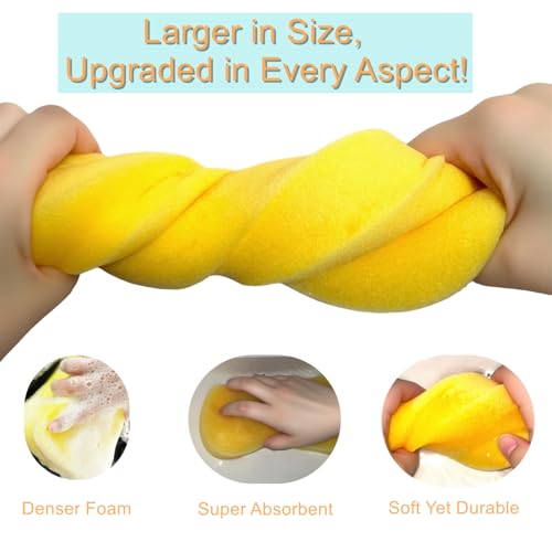 6-Pack Colorful Extra Thick Sponges
