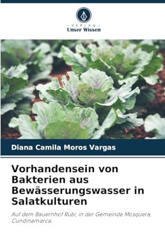 Vorhandensein von Bakterien aus Bewässerungswasser in Salatkulturen: Auf dem Bauernhof Rubí, in der Gemeinde Mosquera, Cundinamarca.