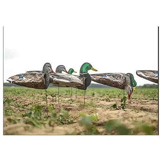 Dive Bomb Industries 1 Dozen S3i Mallard Sock Decoys