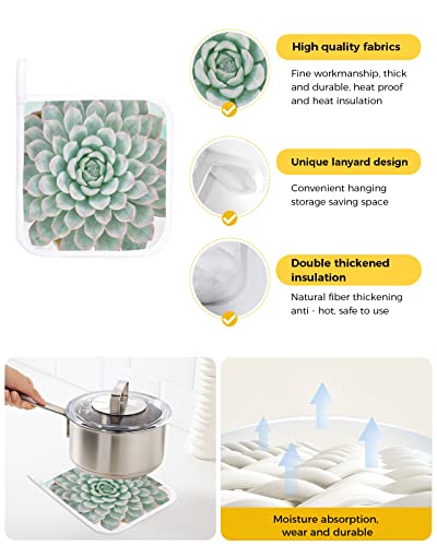 5 Pack Pot Holders For Kitchen Country Green Succulent Heat Proof Potholder Hot Pads Trivet,Tropical Cactus Plant Washable Coaster Potholders For Cooking Baking Grilling #TOP1