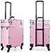 WSJTT Train Roulant Cas N ° 3-en-1 Maquillage Portable Train Malette De Maquillage Professionnel Organisateur Maquillage Voyager Trolley Panier Tronc (Color : Pink)