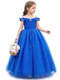 Girls Cinderella Princess Pageant Ball Gowns Kids Tulle Flower Girls Dresses Royal Blue Size 4