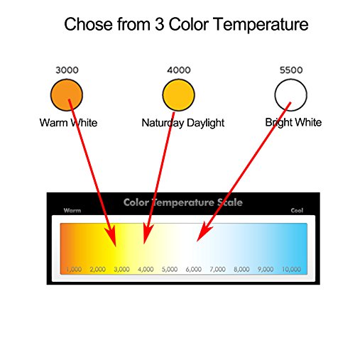 Lumenbasic 12 V Led Bulbs E26 E27 12Vdc 12Vac Light Bulbs Low Voltage Edison Ac Dc Screw In Light Bulbs For Off Grid Solar Lighting Marine Boat Rv 12V Interior Lighting Warm White For Camper #TOP5