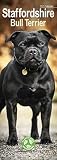 Staffordshire Bullterrier - Staffies 2023: Original Avonside-Kalender - Slimline [Mehrsprachig] [Kalender]