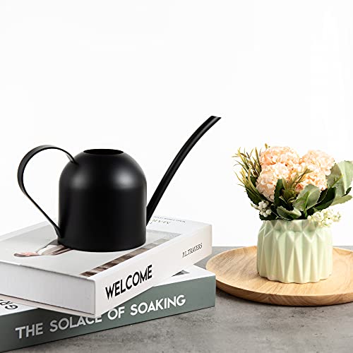 Imeea Small Watering Can For Indoor Plants Stainless Steel Watering Can With Long Spout 15Oz/450Ml, (Black) #TOP4