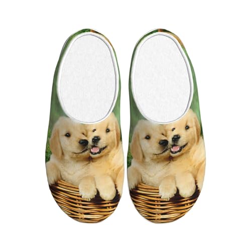 Chaussons chiot Golden Retriever en peluche pour homme et femme EdWal