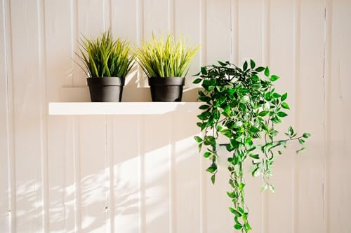 Image of PAPERI Hanging Plants Leaves, Artificial Plants with Pot, Small Faux Plants, Mini Artificial Plant for Indoor Home Decor, Office Table, Wall, Window, Book Shelf, Living Room, Bathroom(Plastic, Pc-1)