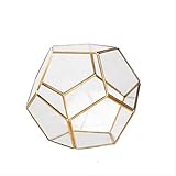 ✔Die unregelmäßige geometrische Polygonform, die Neuheit umreißt die neue Kurve des Blumenhauses, den makellosen Goldanteil und die schlichte Qualität offenbart die elegante Qualität.