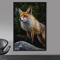 Framed Canvas Wall Art Red Fox Animals Contemporary Expressive Fox Living Room Multicolor Photography - 16x24 inches