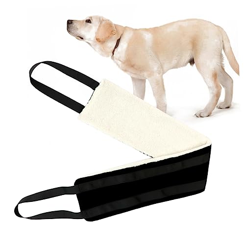 CIYODO Safety Car Auxiliary Handle Grip Handle Elderly Disabled Dog Leg Lifting Belt Fitness Massage Recovery Pet Harness Dog Walking Belt