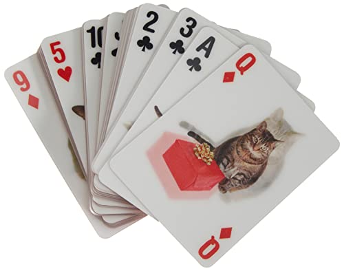 Baraja de Cartas Kikkerland miniatura 5