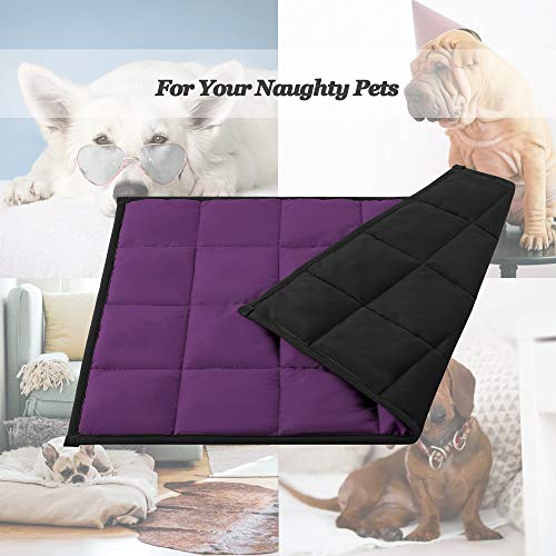 Ysther Weighted Lap Pad For Kids 3 Pounds 20 X 30 Cooling Weighted Blanket For Toddler Heavy Blanket With Premium Glass Beads(Black & Purple) #TOP4