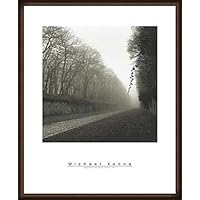 Amazon.co.jp: ポスター マイケル ケンナ Suspended Vine 額装品