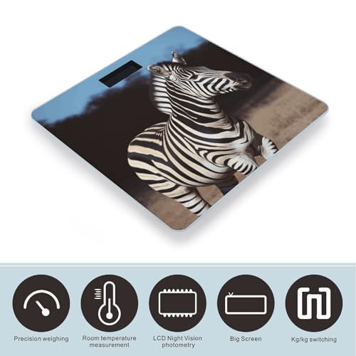 Báscula digital para baño con vidrio templado y pantalla LCD miniatura 3