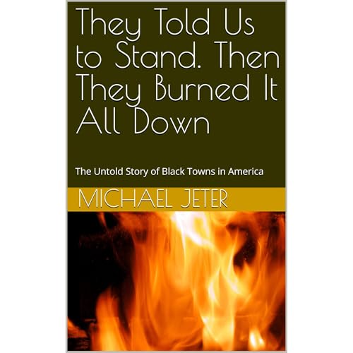 They Told Us to Stand. Then They Burned It All Down Audiolibro Por Michael Jeter arte de portada