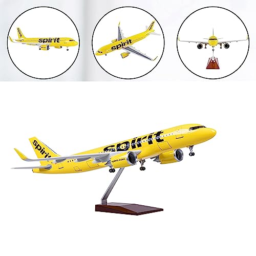 Modèle d'avion à réaction AZIZAT 18,5" pour collectionneur