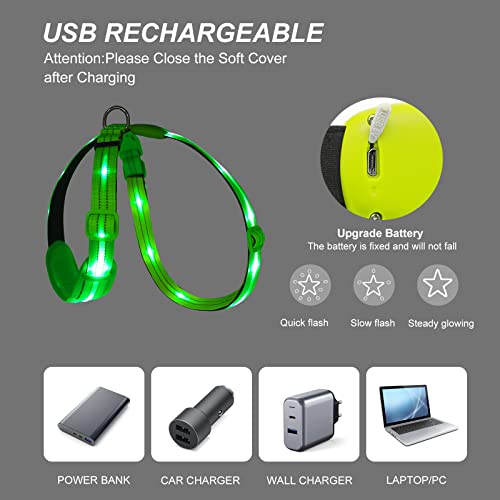 PZRLit Light Up Dog Vest Harness Rechargeable, Adjustable & Reflective LED Lighted Dog Harness, Glow Dark Dog Light Harness for Night Safety Walking, Green Extra Large