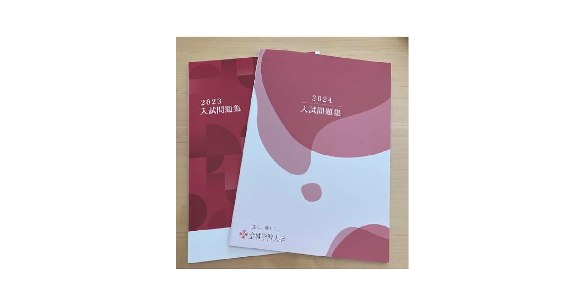 Amazon.co.jp: 金城学院大学 過去問 入試問題集 20242023 : おもちゃ