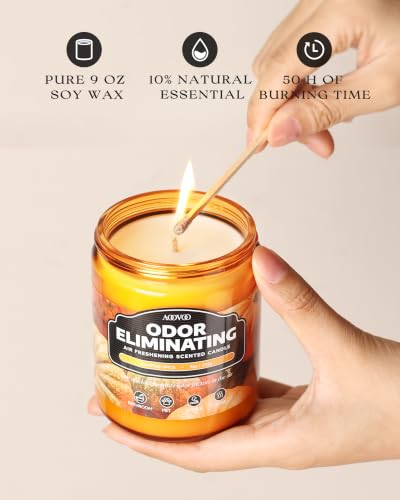 Image of AOOVOO Pumpkin Spice Odor Eliminating Highly Fragranced Candle - Eliminates 95% of Pet, Smoke, Food, and Other Smells Quickly, Non Toxic Air Freshing Soy Candle, 9 oz Up to 50 Hours Burn time