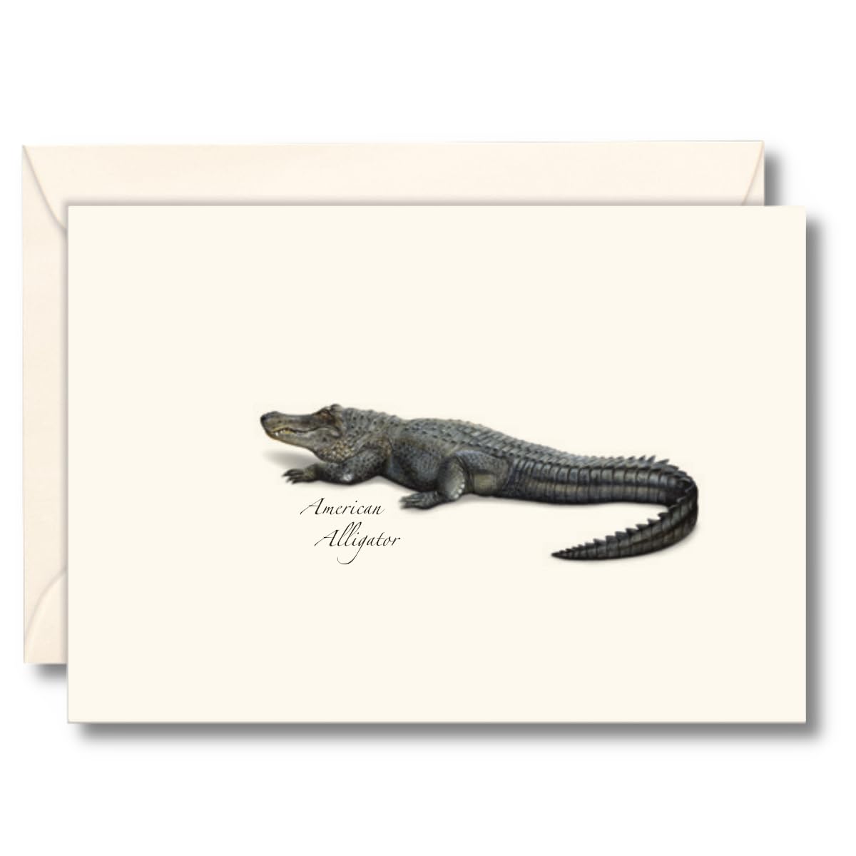 Earth Sky + Water - Alligator Notecard Set - 8 Blank Cards with Envelopes