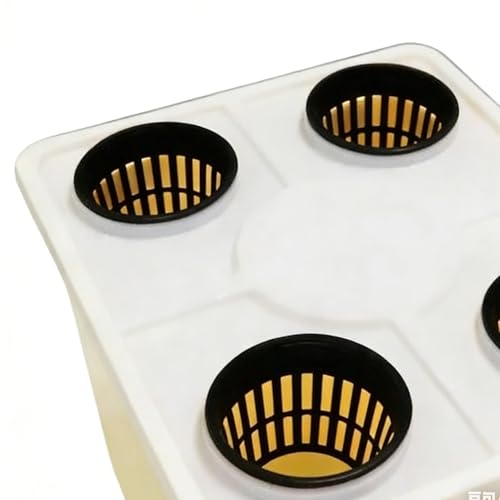 Jardinière hydroponique facile à utiliser : solution sans terre pour tomates et concombres - 8