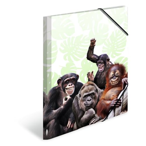 HERMA 19969 - Cartellina portadocumenti in formato DIN A3, motivo: animali esotici e scimmie, in plastica robusta, con alette interne stampate ed elastico, per bambini, ragazzi e ragazze