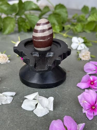 Image of Shivam VASTU AKAL 1.5 inch Original Narmadeshwar Narmada Shivling with 3 inch Narmada Stone Yoni Base Jaladhari (Janeudhari Shivling, Black Designer Damru Jaladhari)