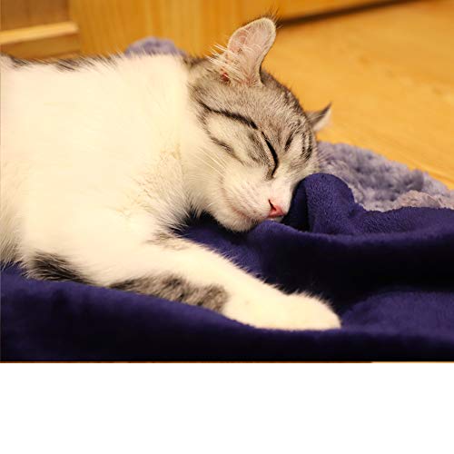 furrybaby Premium Fluffy Fleece Dog Blanket, Soft and Warm Pet Throw for Dogs & Cats - Image 7