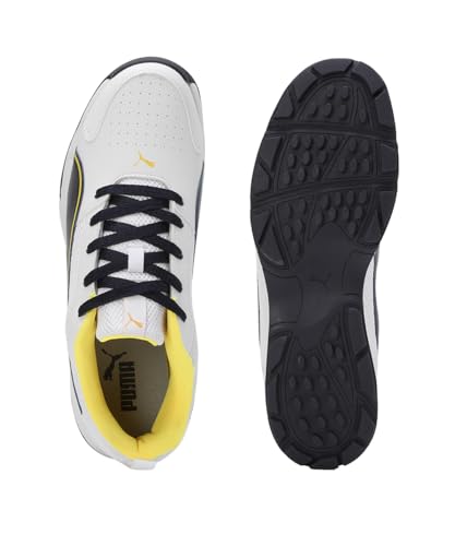 Image of Puma Men Cricket HighRun Cricket Shoe