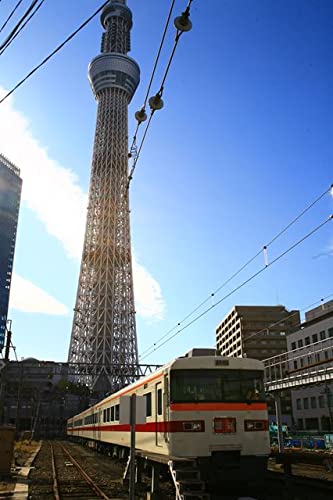 y{̕i|XgJ[hzXJCc[̂镗i16 ͂nKLt