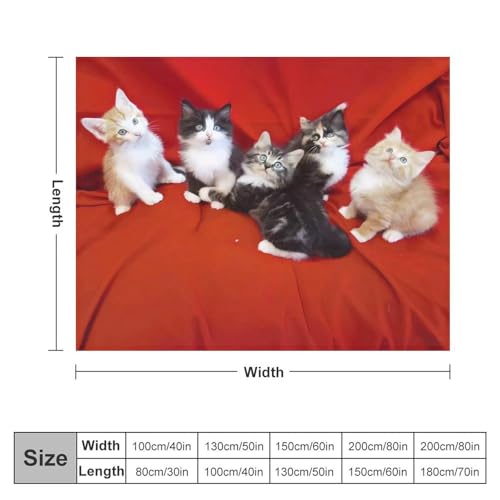 Grande couverture micro polaire chat chaude légère plaid lit canapé
