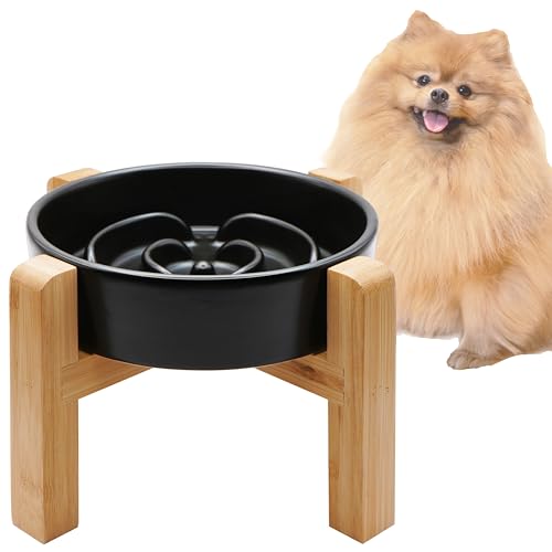 Slow Feeder Hund Die 15 besten Produkte im Vergleich & Angebote