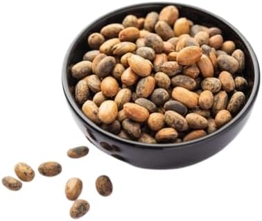 jamalgota | croton tiglium | jamalghota | croton beej - 8Oz|227g