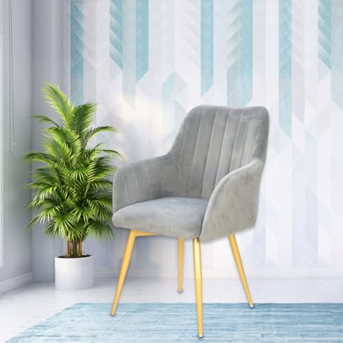 Image of Taboo Velvet Dining Chair Set of 6 | Upholstered Accent Arm Chairs | Soft Cushioned Seat with Backrest | Modern Velvet Fabric Chairs with Metal Legs | Living Room, Bedroom, Cafe & Restaurant | Grey
