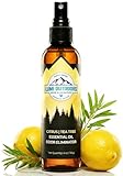 Lumi Outdoors Natural Shoe Deodorizer Spray & Odor Eliminator - Fresh Citrus Tea Tree Essential Oil Odor Eater