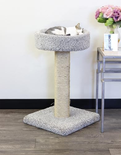 2-Pack Rascadores para Gatos New Cat Condos con Percha miniatura 2