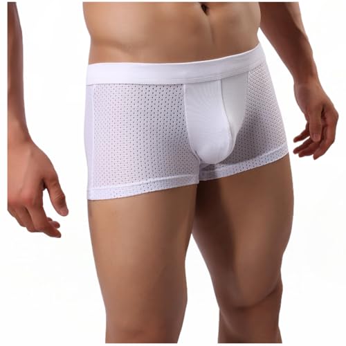 Men's Mesh Boxer Briefs Breathable Low Waisted Underwear Ice Silk Briefs for Men2