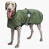 Hund Wasserdichter Wintermantel für Hunde, Winddichte Mäntel Hund Schneeanzug Warme Fleecekleidung Komfort Leichte Jacke bei kaltem Wetter für Klein Mittel Groß (M, Armeegrün)