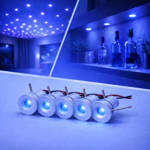 Partenopea Kit 5 Mini Faretto LED Incasso 1W 12V IP65 Punto Luce Cielo Stellato per Interno Esterno Scale Piscine Vetrine Camper Barche Segnapasso Basso Consumo Illuminazione (Luce Blu, Bianco, 5)