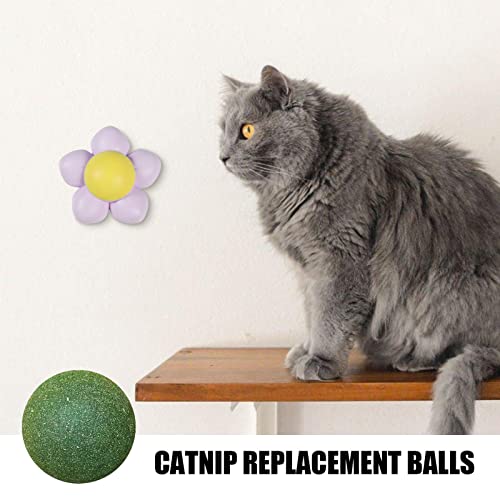 Bola de erva de gato – Brinquedos de bola para gatinhos | Brinquedo de mastigar para limpeza de dent