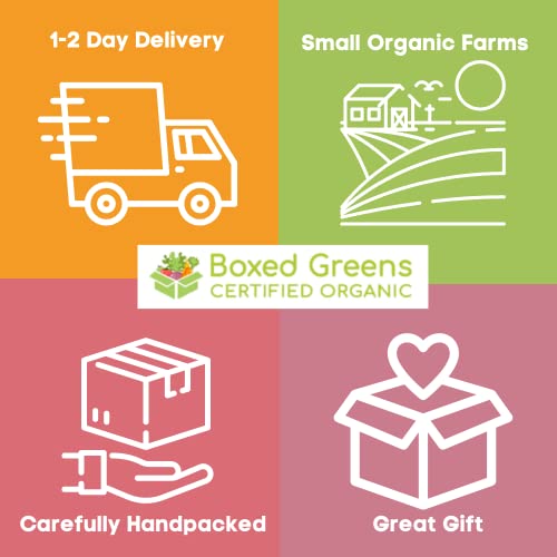 Boxed Greens 20Lbs Organic Vegetable Box - Box Includes Cauliflower, Onions, Potatoes, Lettuce, Tomatoes, Peppers, Brussel Sprouts, Carrots, Broccoli & More - Fresh Produce Assortment #TOP5