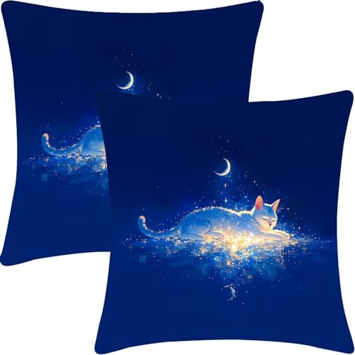 �r���[�h�N�b�V�����J�o�[ 2���Z�b�g, �\�t�@�N�b�V�����J�o�[, 40x40cm, �r���[�h�������J�o�[, �_�炩���ĐS�n�悢, �C���e���A�N�b�V����, �G�ߑ���������, �ԗp���z�c�J�o�[, �o�[ ��������, �����j�� �v���[���g, �����̑��蕨, ���L,