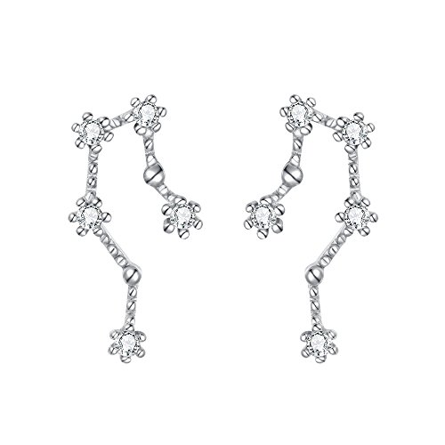 BriLove 925 Sterling Silver Ear Crawler Post Earrings Aquarius 12 Zodiac Constellation Horoscope Astrology CZ Stud Earrings for Women