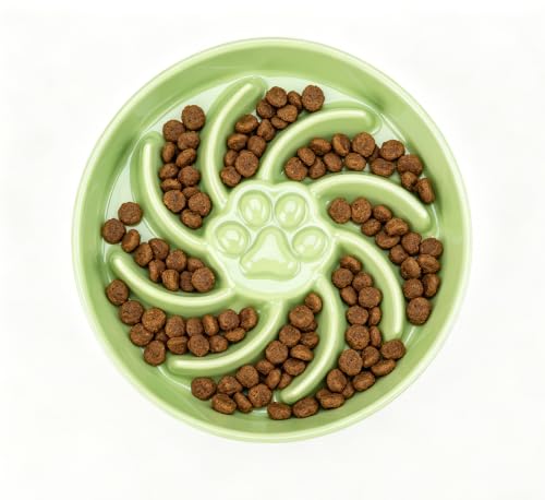 Fancy Lemon Ceramic Slow Feeder Dog Bowl, 3 Cup Dog Food or 25oz Water, Slow Eating Bowl for Middle Breed, Maze Puzzle Feeder for Fast Eaters, Anti-Choking Stop Bloat, Non-Slip BPA Free (Green) by Fancy Lemon - Used condition - US$17.32
