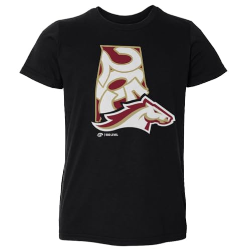 500 LEVEL Birmingham Stallions Area Code Silhouette Toddler Shirt (Black, 2T)