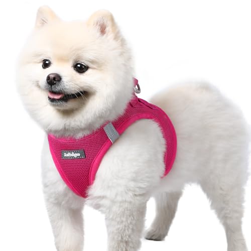 rabbitgoo Small Dog Harness, Step-in Soft Mesh Puppy Vest with Safety Buckle, Breathable Reflective Pet Harness for Small Sized Dogs, Rose Red S