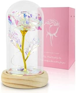 Alljia Valentines Gifts to Her, Rose in Glass Dome with Led Fairy Lights Forever Galaxy Rose Gift for Mom Girlfriend Wife Valentine Decorations(Batteries Included)