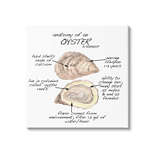 Image of 'Oyster Marine Life Anatomy Facts Educational'| Canvas Art | Stupell Industries | 30 x 30 Inches, Easy to Hang and Sturdy, Made in USA, by Dishique