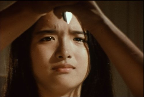 Amazon Com 純愛山河 愛と誠 Dvd Box Movies Tv